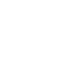 Birmingham Seal