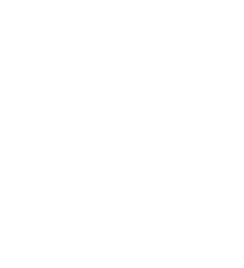 Rev Bham